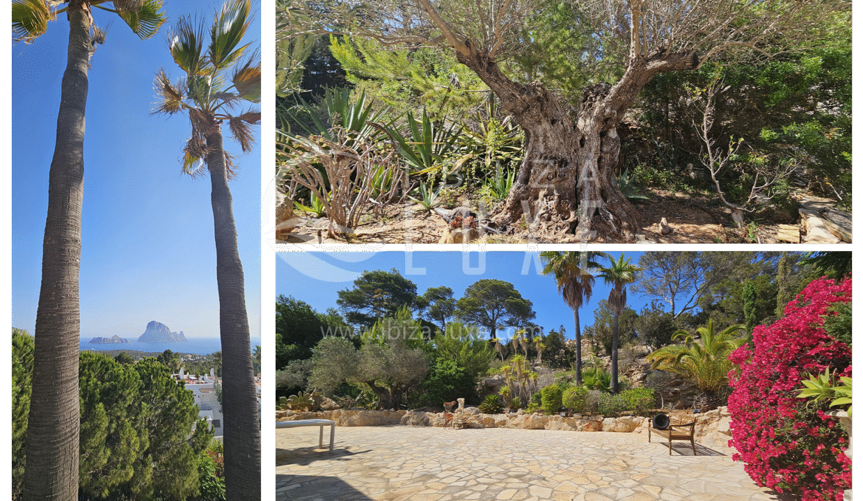 1855 - Cala Carbo - 034