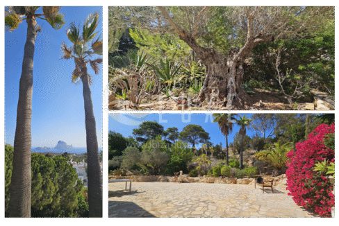 1855 - Cala Carbo - 034
