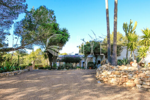 1737 - Cala Llonga - 11